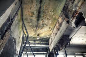 Professional Mold Remediation in Pompton Lakes, NJ